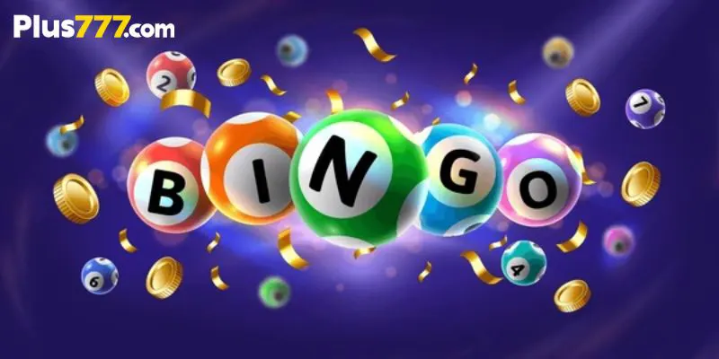 Learn to discover what bingo is all about